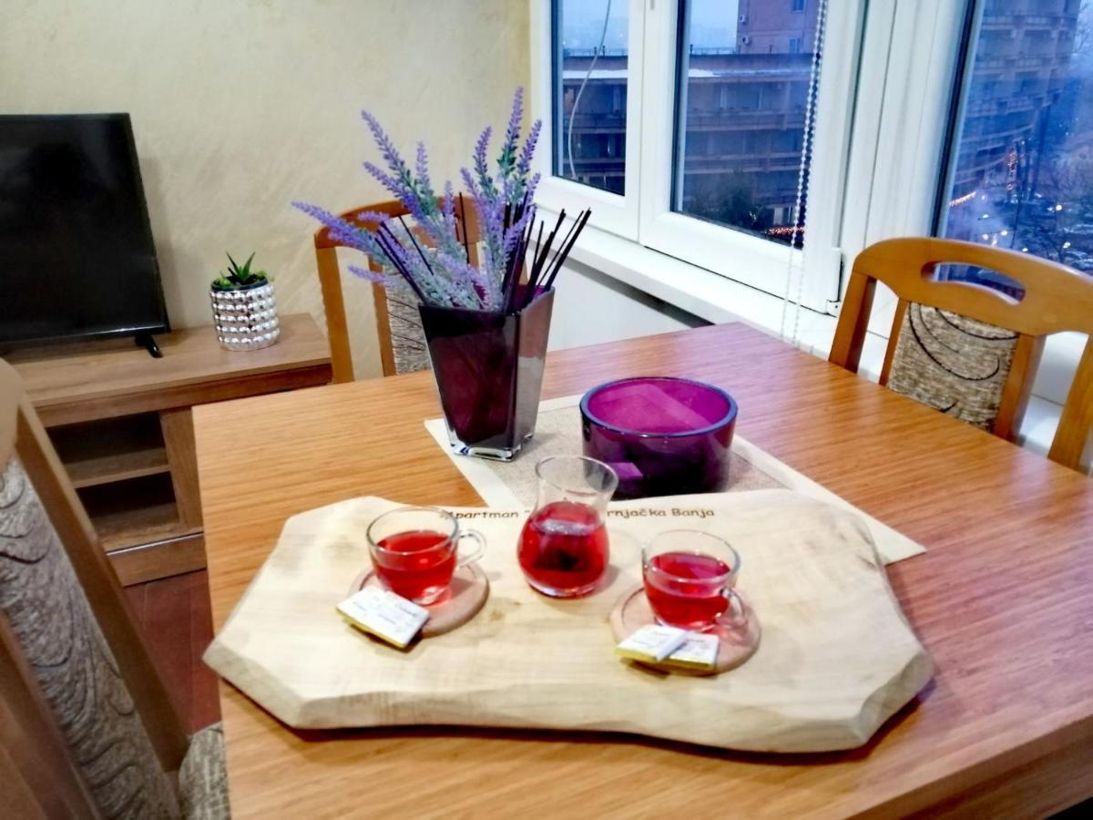 Apartman Jasmin Vrnjačka Banja Zewnętrze zdjęcie